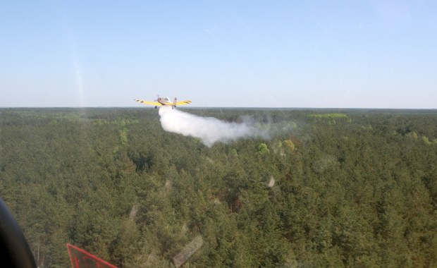Pożar lasów pod Warszawą. "Trochę ich teraz będzie"
