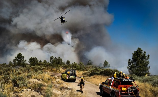 Pożar lasów w Portugalii wyemitował więcej energii niż wybuch bomby w Hiroszimie
