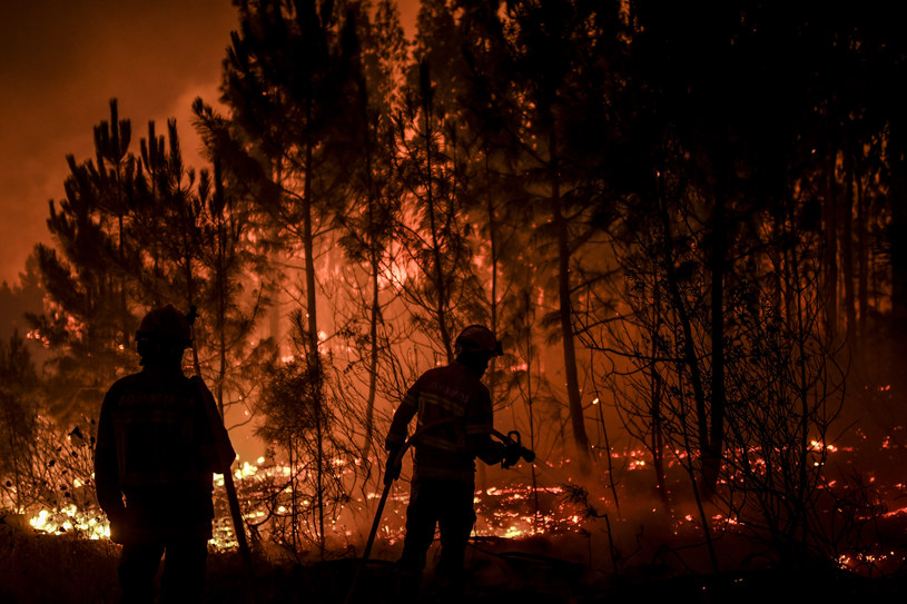 Pożar lasów w Portugalii /PATRICIA DE MELO MOREIRA /AFP