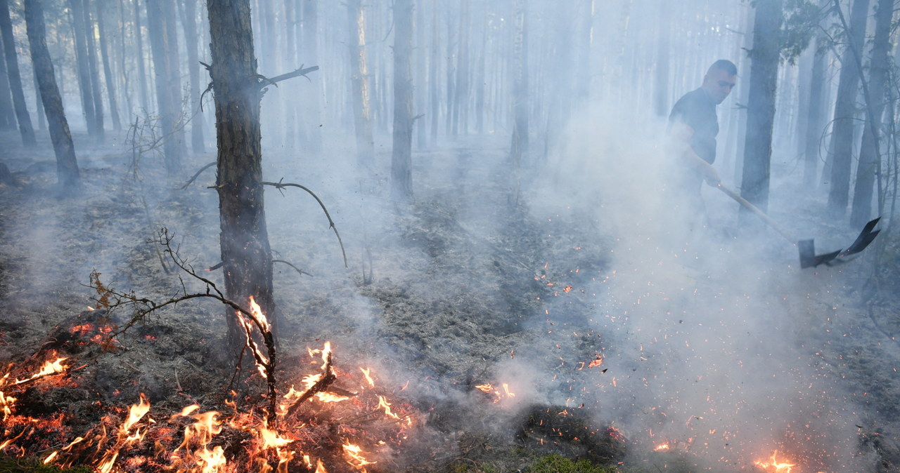 Pożar lasów w powiecie grójeckim