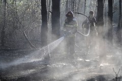 Pożar lasów w powiecie grójeckim