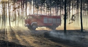 Pożar lasu i nasypu kolejowego. Ponad stu strażaków i samoloty gaśnicze w akcji