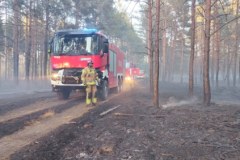 Pożar lasu i nasypu kolejowego. Ponad stu strażaków i samoloty gaśnicze w akcji
