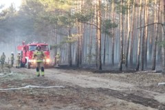 Pożar lasu i nasypu kolejowego. Ponad stu strażaków i samoloty gaśnicze w akcji