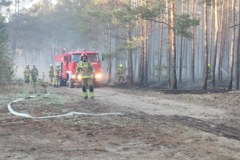 Pożar lasu i nasypu kolejowego. Ponad stu strażaków i samoloty gaśnicze w akcji