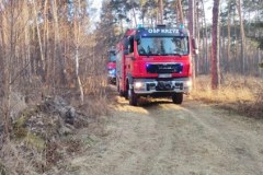 Pożar lasu i nasypu kolejowego. Ponad stu strażaków i samoloty gaśnicze w akcji