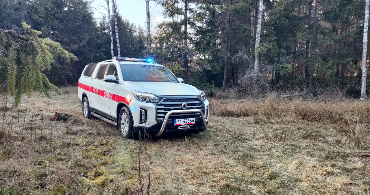 Pożar lasu i nasypu kolejowego. Ponad stu strażaków i samoloty gaśnicze w akcji