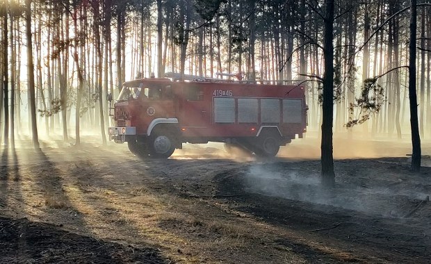 Pożar lasu i nasypu kolejowego. Ponad stu strażaków i samoloty gaśnicze w akcji