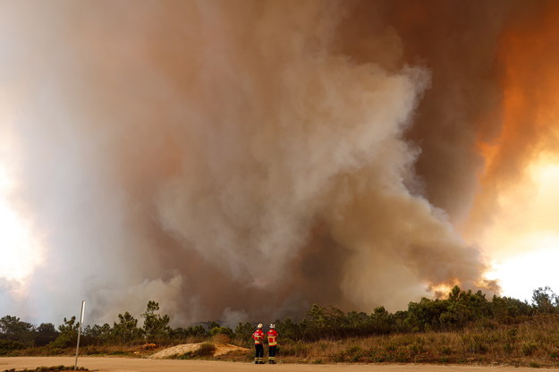 Pożar lasu na terenie portugalskiej gminy Odemira /LUIS FORRA /PAP/EPA