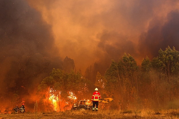 Pożar lasu na terenie portugalskiej gminy Odemira /LUIS FORRA /PAP/EPA