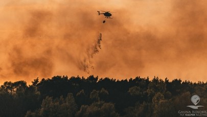 Pożar lasu niedaleko Kołobrzegu. Ważny apel lokalnych władz