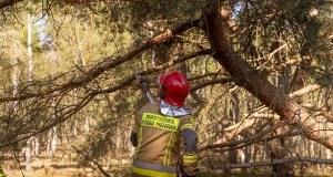 Pożar lasu niedaleko Kołobrzegu. Ważny apel lokalnych władz