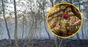 Pożar lasu niedaleko Kołobrzegu. Ważny apel lokalnych władz