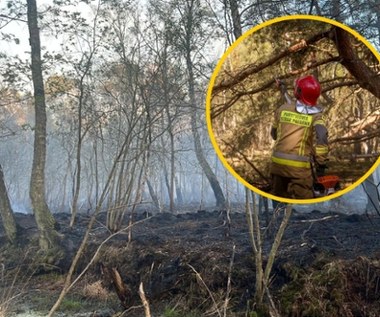 Pożar lasu niedaleko Kołobrzegu. Ważny apel lokalnych władz
