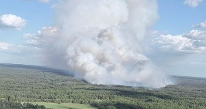 Pożar lasu niedaleko Warszawy. W akcji policyjny Black Hawk z Bambi Bucket