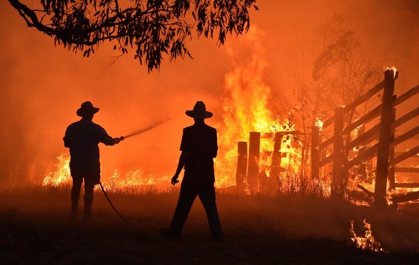 Pożar lasu w Australii, listopad 2019 r. /PETER PARKS /AFP