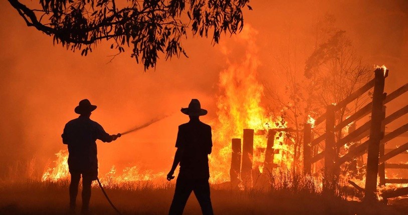 Pożar lasu w Australii, listopad 2019 r. /PETER PARKS /AFP