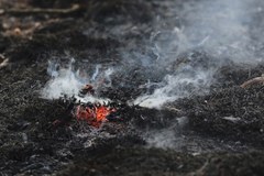 Pożar lasu w Cieksynie
