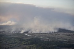Pożar lasu w Czarnobylu