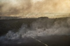 Pożar lasu w Czarnobylu