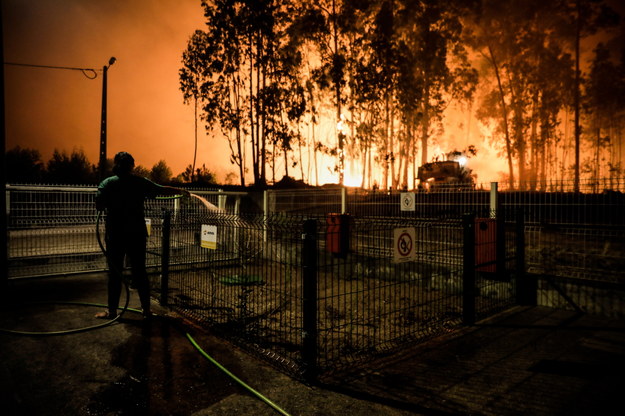 Pożar lasu w gminie Ourém w środkowej Portugalii /PAULO CUNHA /PAP/EPA