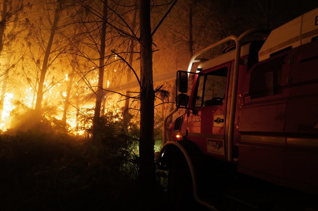 Pożar lasu w miejscowości La Teste-de-Buch /SDIS 33 HANDOUT /PAP/EPA