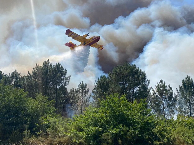 Pożar lasu w miejscowości Landiras /SDIS 33 HANDOUT /PAP/EPA