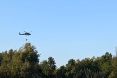 Pożar lasu w miejscowości Międzyleś