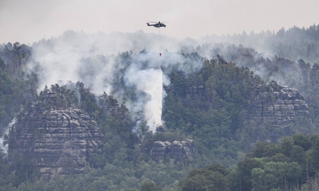 Pożar lasu w niemieckiej Saksonii /ROBERT MICHAEL /PAP/DPA