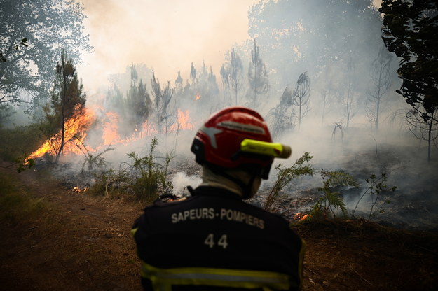 Pożar lasu w pobliżu Louchats /PHILIPPE LOPEZ / POOL /PAP/EPA