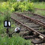 Pożar lokomotywy wstrzymał ruch kolejowy na trasie Warszawa-Poznań