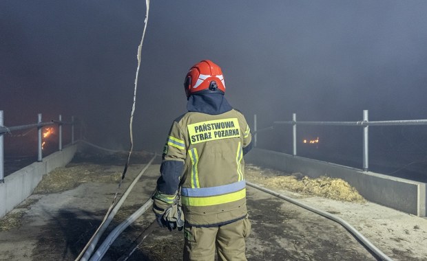 Pożar marketu w Wielkopolsce. Robot w akcji