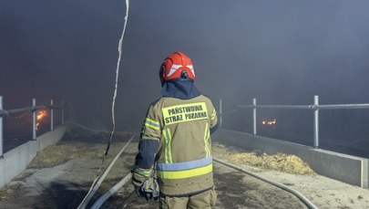 Pożar marketu w Wielkopolsce. Robot w akcji
