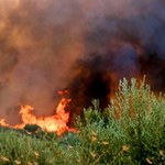 Pożar na granicy Bułgarii i Grecji. Deszczu nie było od lipca
