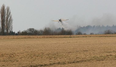 Pożar na obrzeżach Gorzowa Wielkopolskiego