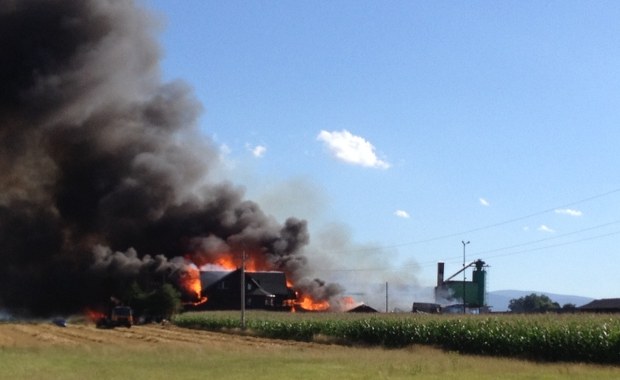 Pożar na Opolszczyźnie. Ogień objął tartak, magazyn, dom i pole