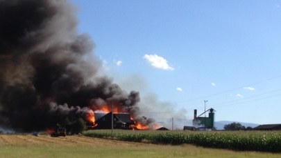 Pożar na Opolszczyźnie. Ogień objął tartak, magazyn, dom i pole