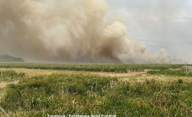 Pożar na Podlasiu. Ogień zagrażał Biebrzańskiemu Parkowi Narodowemu