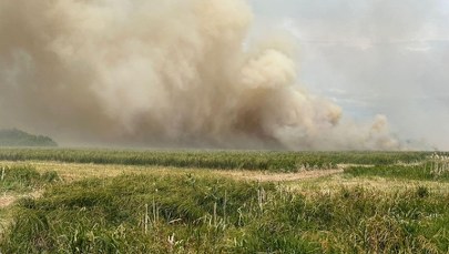 Pożar na Podlasiu. Ogień zagrażał Biebrzańskiemu Parkowi Narodowemu