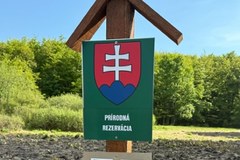 Pożar na pograniczu polsko-słowackim