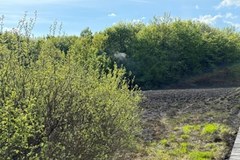 Pożar na pograniczu polsko-słowackim