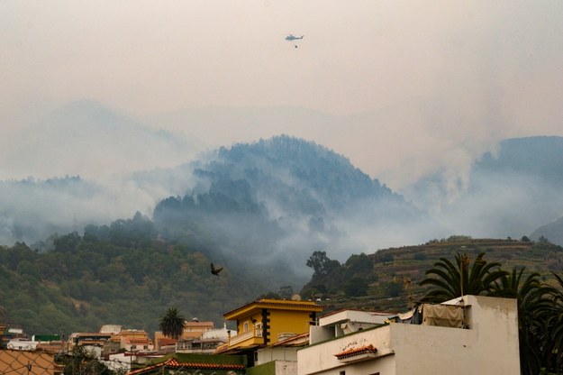 Pożar na Teneryfie /	Alberto Valdes /PAP/EPA