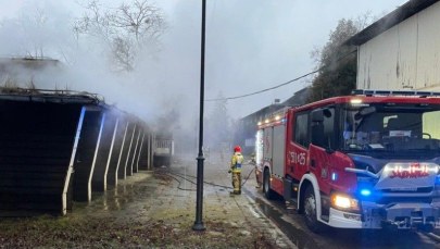 Pożar na terenie Hipodromu w Sopocie