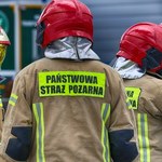 Pożar na terenie ogródków działkowych. Znaleziono zwęglone ciało 