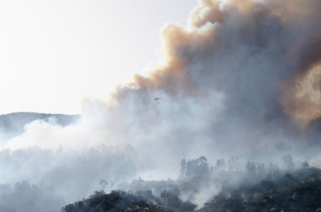 Pożar na wyspie La Palma /MIGUEL CALERO /PAP/EPA