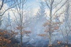 Pożar na zboczach Baraniej Góry