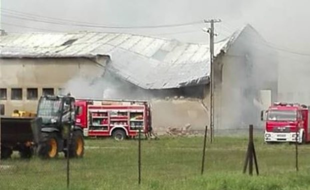 Pożar owczarni koło Kościana. W środku były zwierzęta