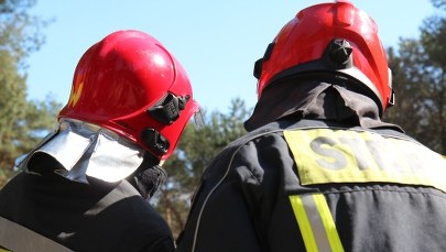 Pożar pensjonatu w miejscowości Krzyżówka