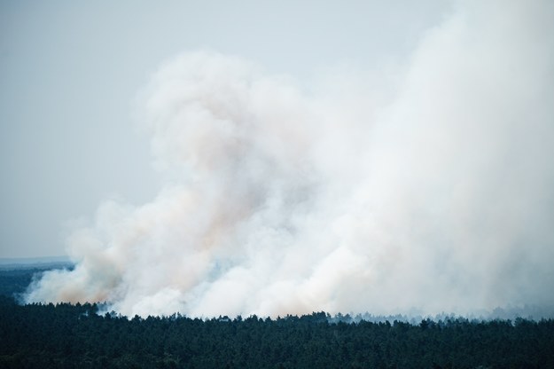 Pożar po eksplozji objął co najmniej 1,5 hektara lasu /Clemens Bilan /PAP/EPA