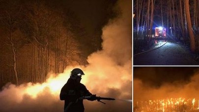 Pożar promenady spacerowej. Przyczyną podpalenie? 